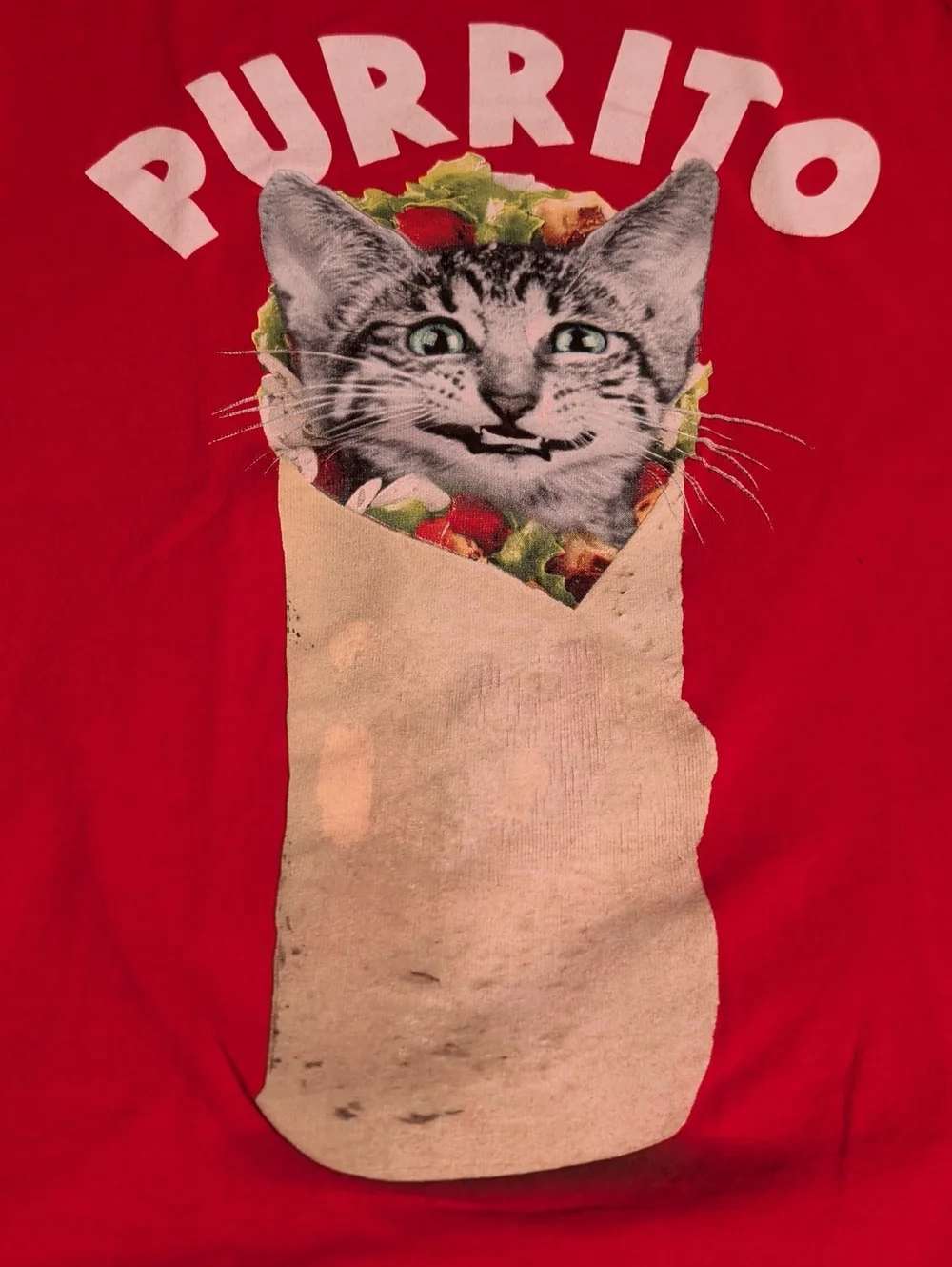 Silly Cat Shirt😸😹